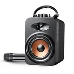 Kaasaskantav karaokekõlar mikrofoniga